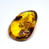 Amber with Insects - Stone # 1