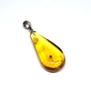 Amber with Insects - Pendant # 3