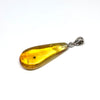 Amber with Insects - Pendant # 3