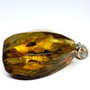 Amber with Insects - Pendant # 1