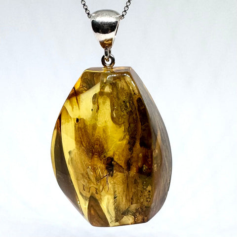 Amber with Insects - Pendant # 1