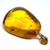 Amber with Insects - Pendant # 2