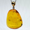 Amber with Insects - Pendant # 2
