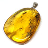 Amber with Insects - Pendant # 7