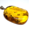 Amber with Insects - Pendant # 7