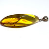 Amber with Insects - Pendant # 9