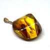 Amber with Insects - Pendant # 4