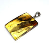 Amber with Insects - Pendant # 5