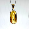 Amber with Insects - Pendant #10