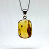 Amber with Insects - Pendant #15