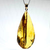 Amber with Insects - Pendant # 6