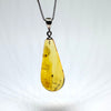 Amber with Insects - Pendant # 3