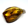 Amber with Insects - Pendant # 1