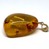Amber with Insects - Pendant # 2