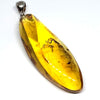 Amber with Insects - Pendant # 9