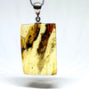 Amber with Insects - Pendant # 5