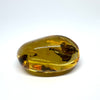 Amber with Insects - Stone #5