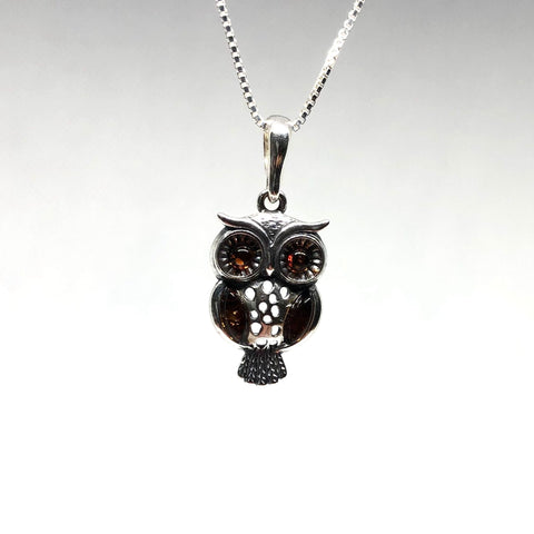 Owl Pendant in Silver with Amber